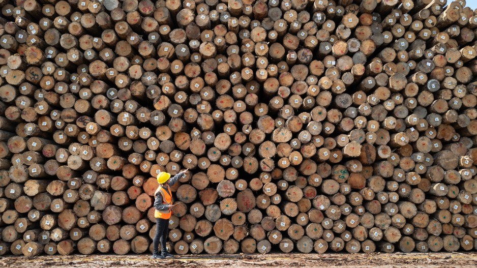 Forestry Forest Logs Xuwumomentgettyimages22